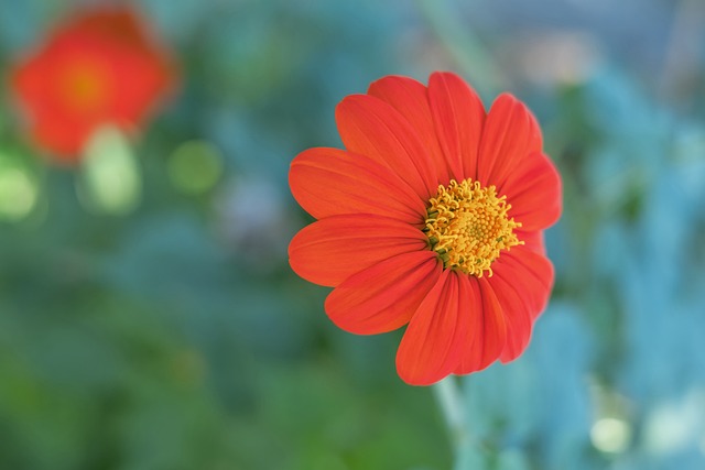 王长庆回应“摘桃”：启蒙不是我带的就算摘桃？我们考察了200多人